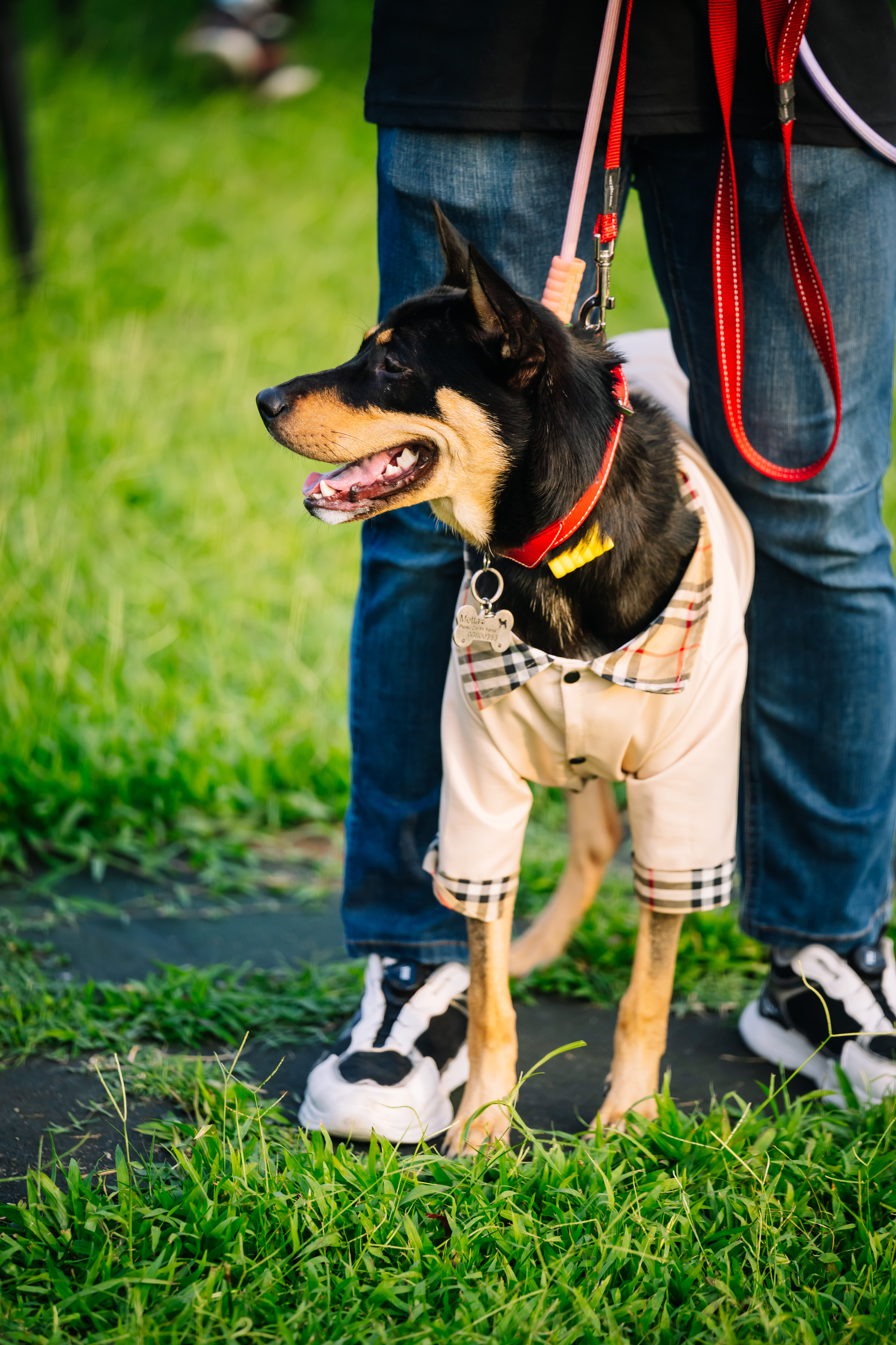 Armooffice (111 - 306)