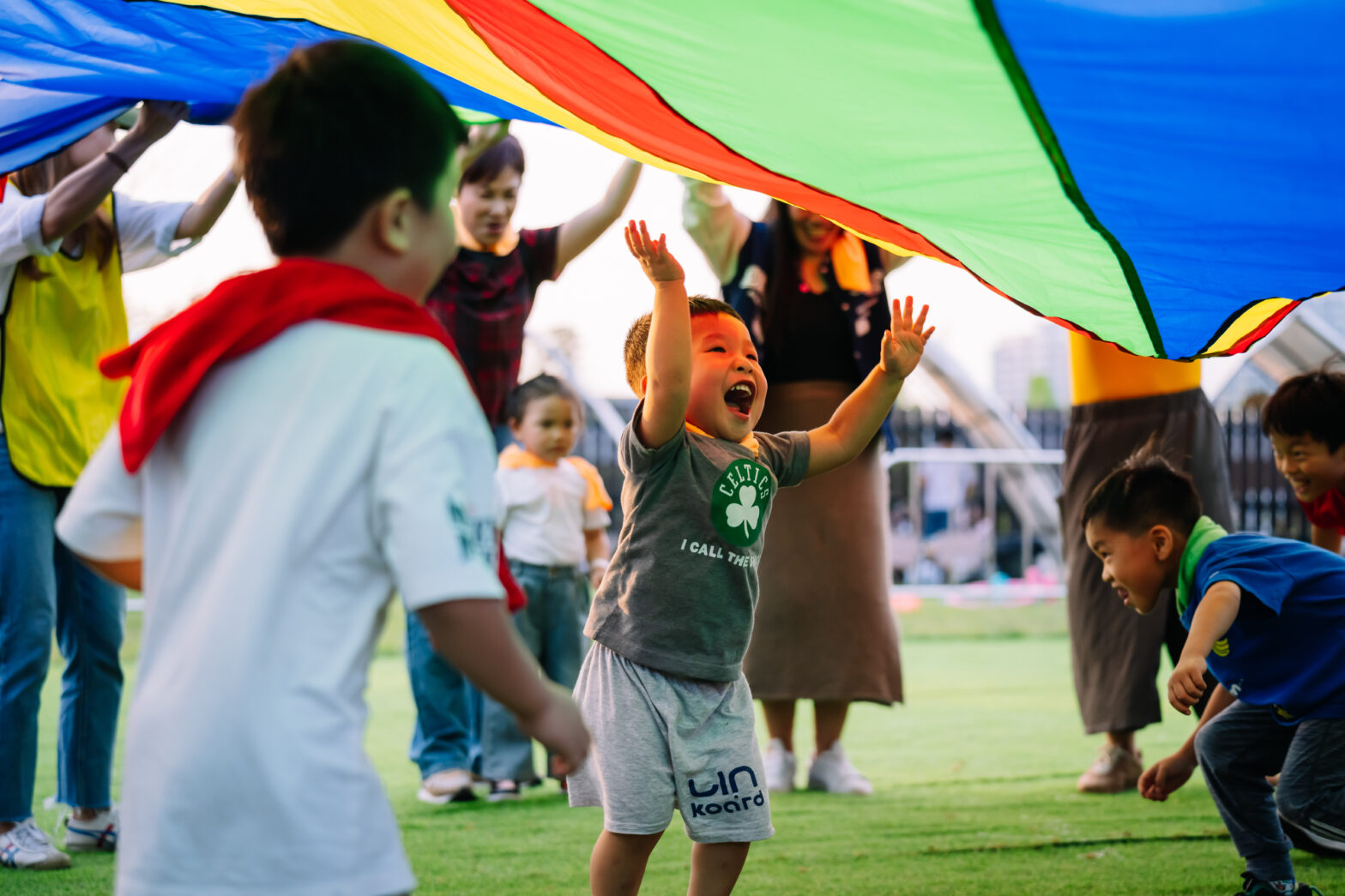 Armooffice (135 - 306)