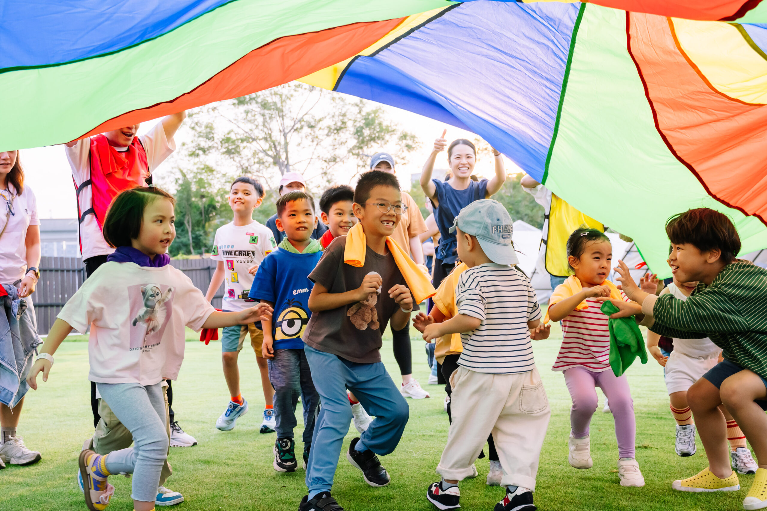 Armooffice (145 - 306)