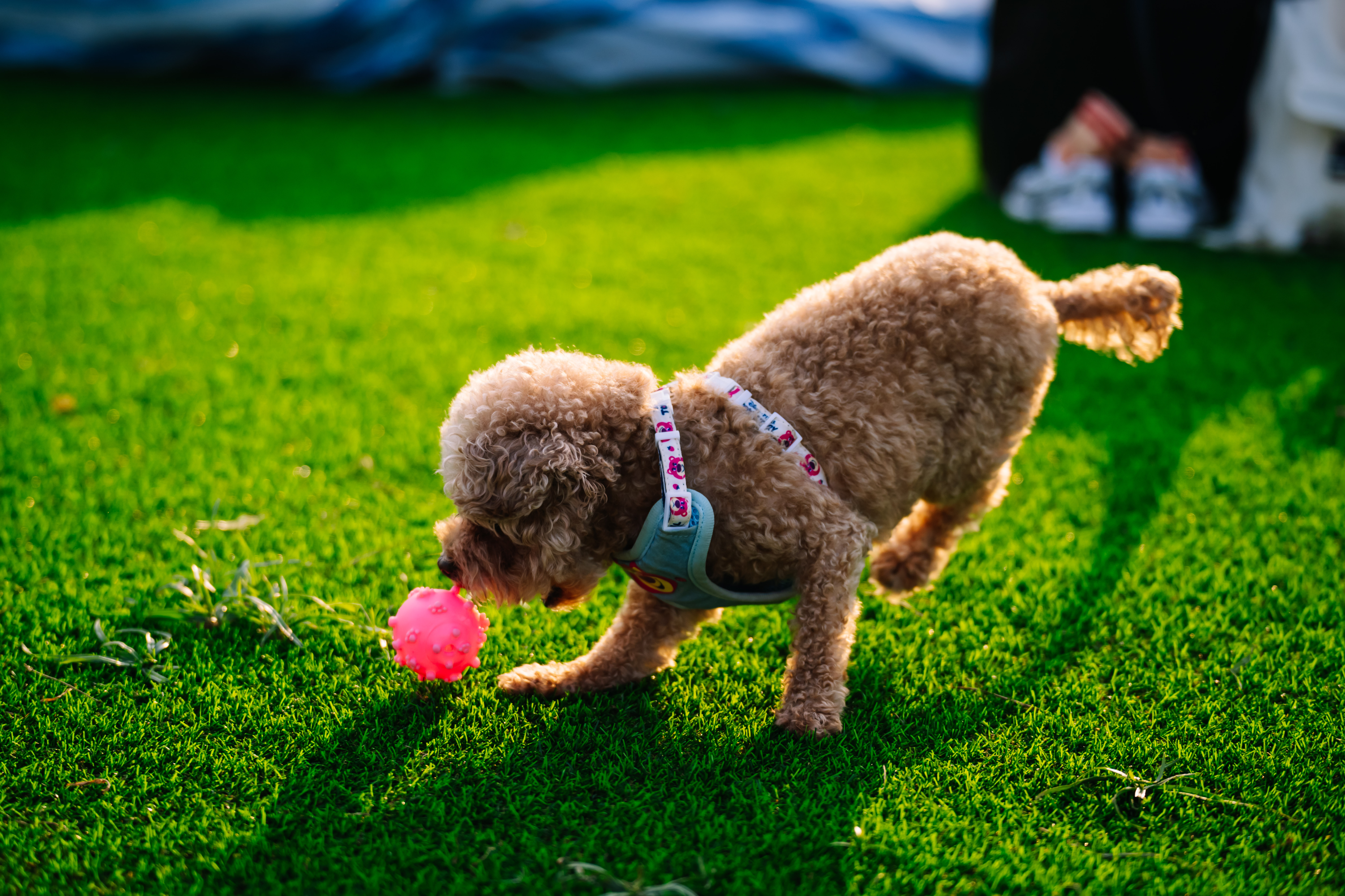 Armooffice (86 - 306)